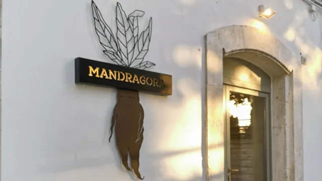 Mandragora Pozioni & Porzioni