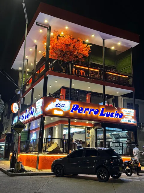 Perro Lucho Piedecuesta