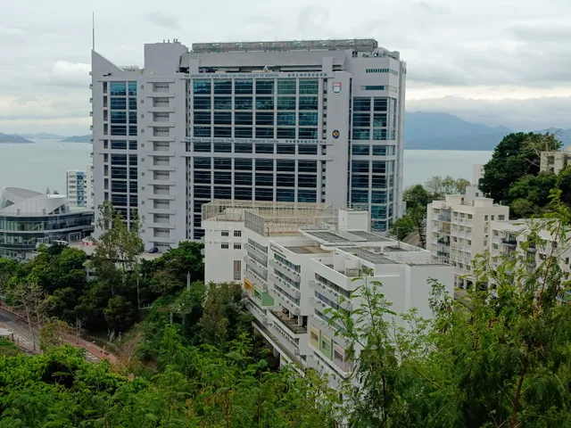 Li Ka Shing Faculty of Medicine