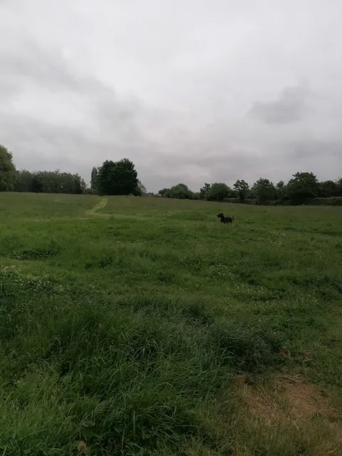 Nutbrook Trail Local Nature Reserve
