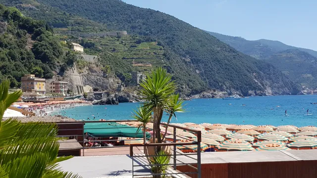 Camping Albero D'Oro