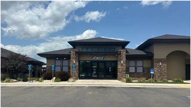 Curaleaf Springville