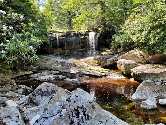 Big Run Falls