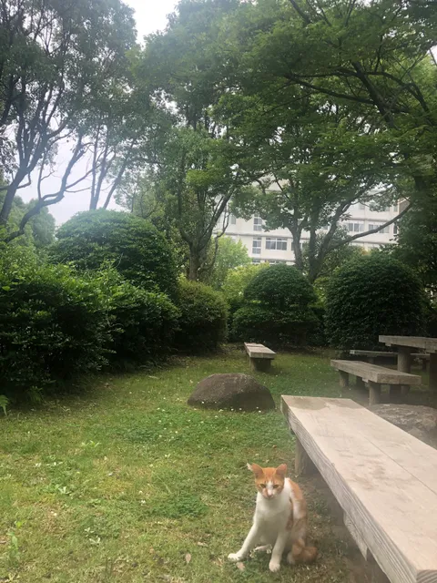 Nagasaki University Katafuchi Campus