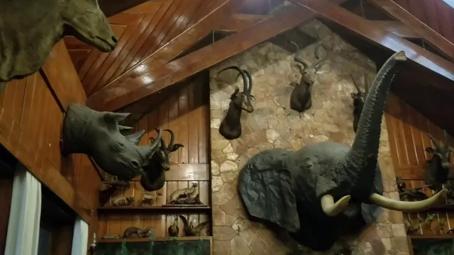 Log Cabin Hotel-Safari Baguio