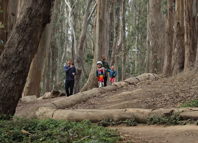 Lovers’ Lane at the Presidio