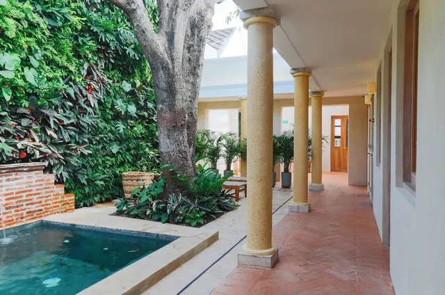 Casa Jaguar Cartagena