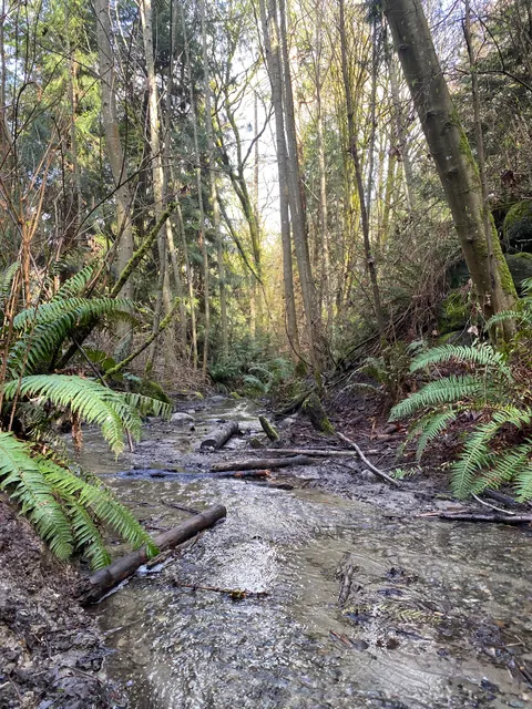 Schmitz Park Trailhead