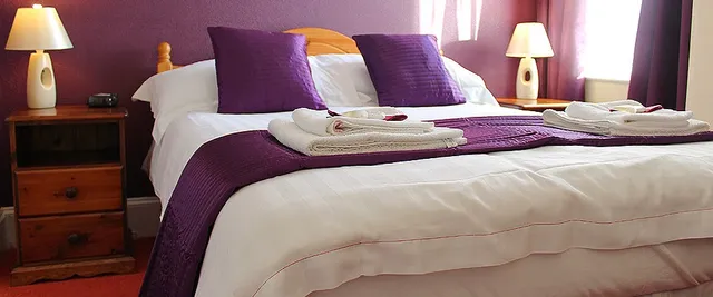 Babbacombe Palms Guest House