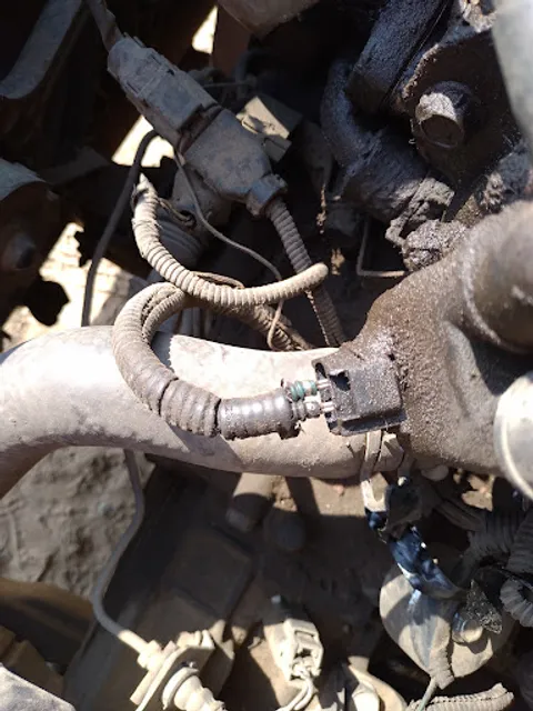 Area 51 The food street