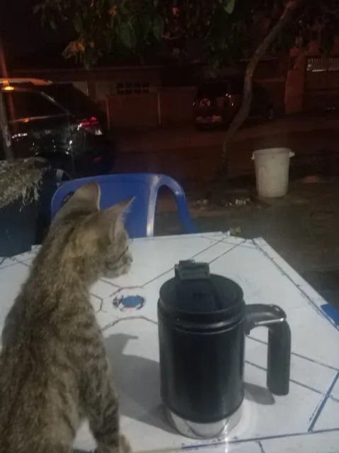 Bar e Mercearia Dani 107