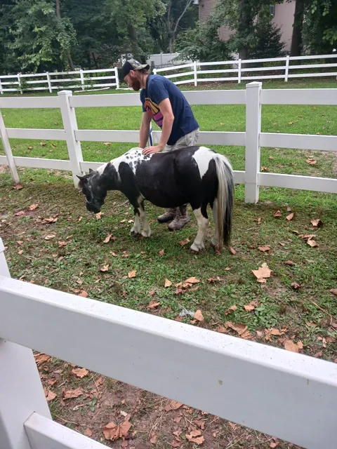 Pony ride