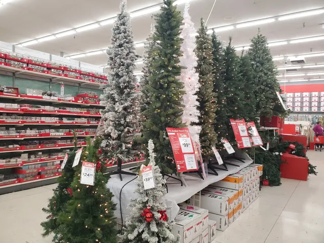 Valley view center plaza