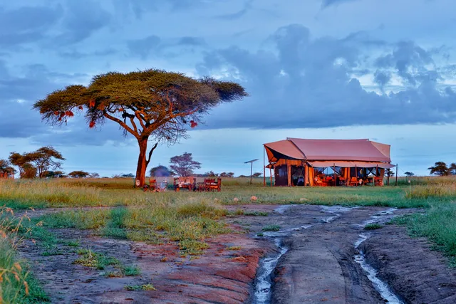 Pumzika Luxury Safari Camp