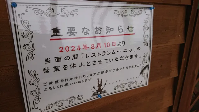 photo-1