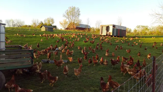Wauka Meadows Sustainable Farm