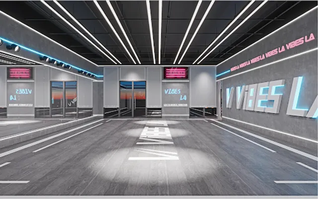 Vibes LA Dance Studio