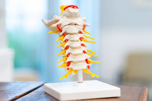 Southern Coast Spine & Pain Specialists