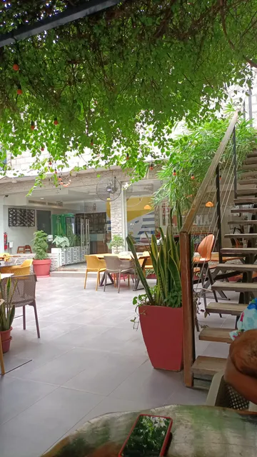 Pinocchio gelateri pizzeria (OSU)