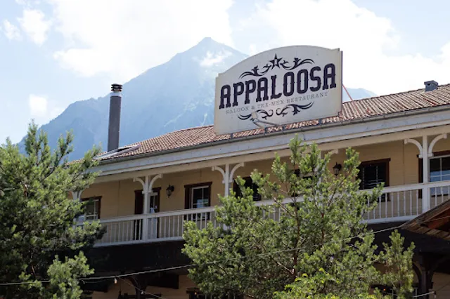 Appaloosa Saloon