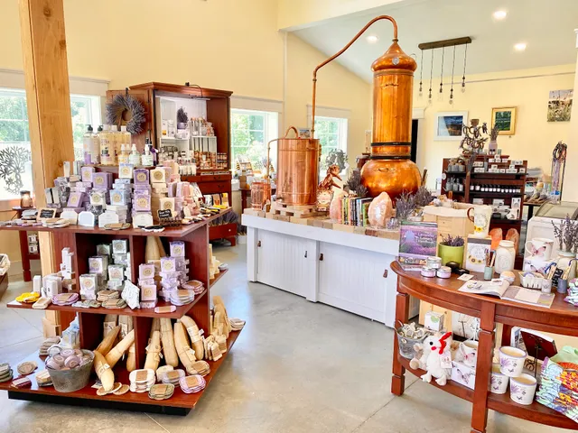 Battlefield Lavender