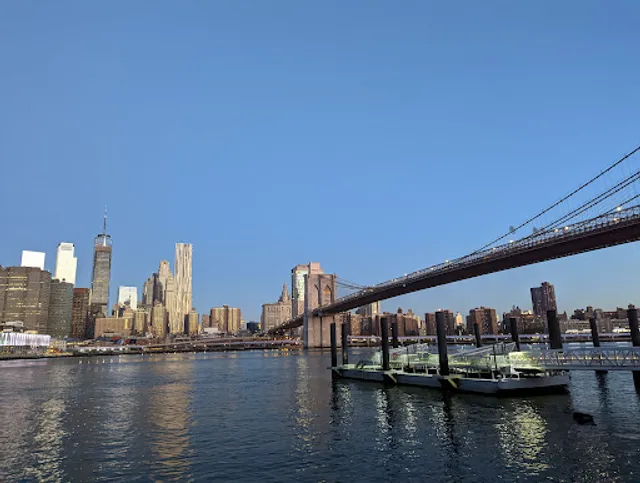 Brooklyn Bridge Lookout