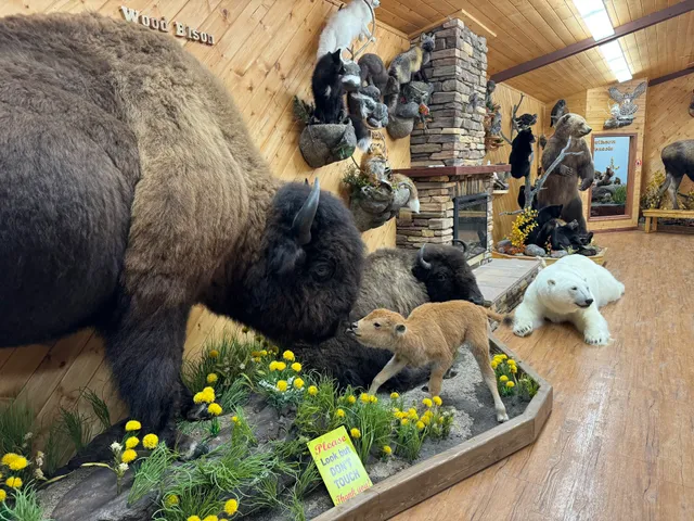 Nature's North Wildlife Gallery
