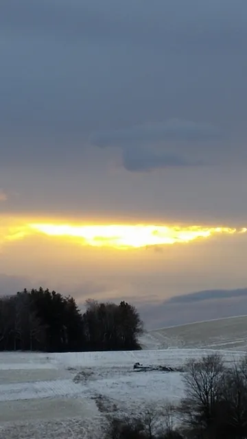 My Bar K Meadows Llc