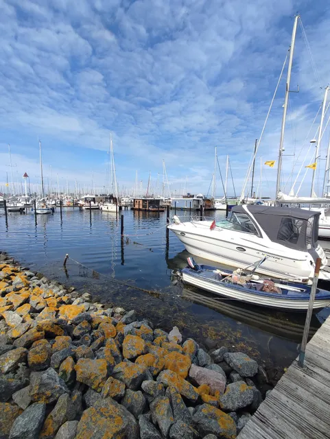 ProBaltic Vermietungsagentur