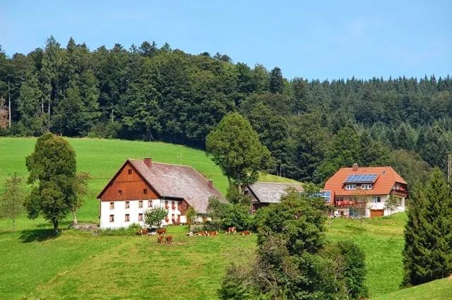 Baschijörgenhof - Urlaub auf dem Bauernhof