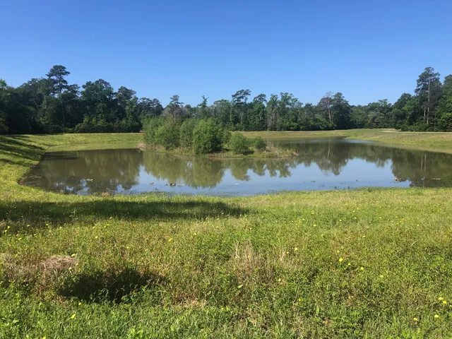 Lake at Springwoods Village Nature Preserve