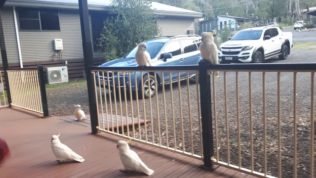 Grampians Peaks Retreat