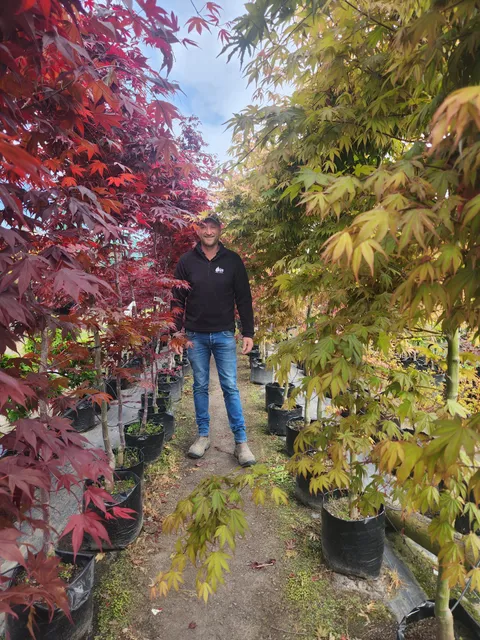 The Little Big Tree Company & The Little Big Trellis Company