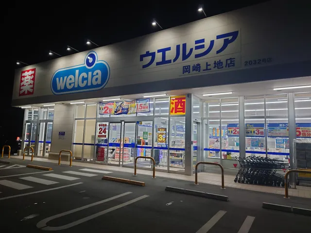 Welcia Okazaki Ueji Shop