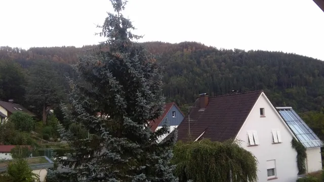 Ferienwohnung Rebberg