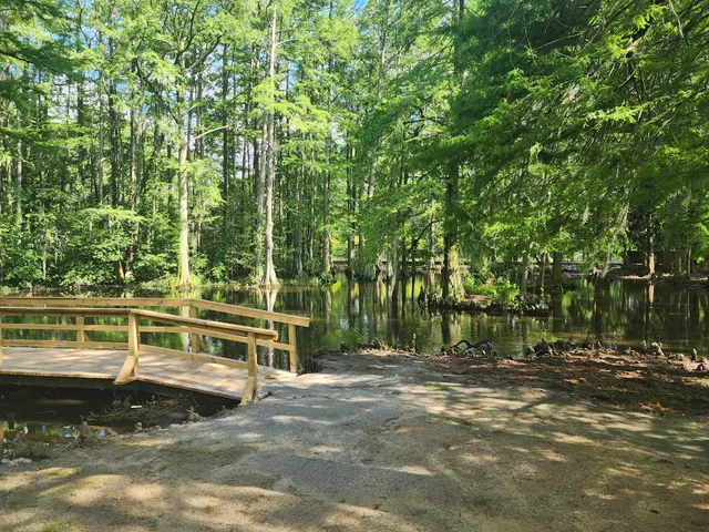 Swan Lake/Iris Gardens