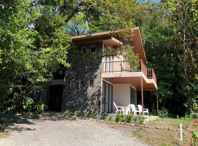 Puma Meraki Monteverde