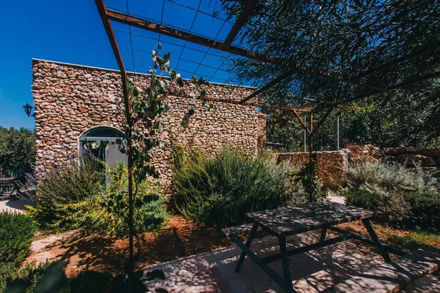 Tur Sinai Organic Farm