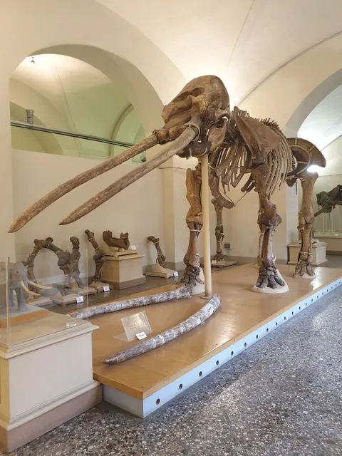 Geology and Paleontology Museum