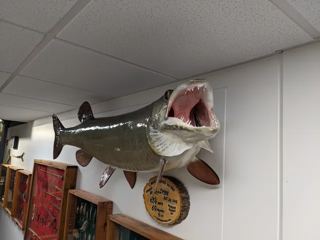 Chippewa Area History Center