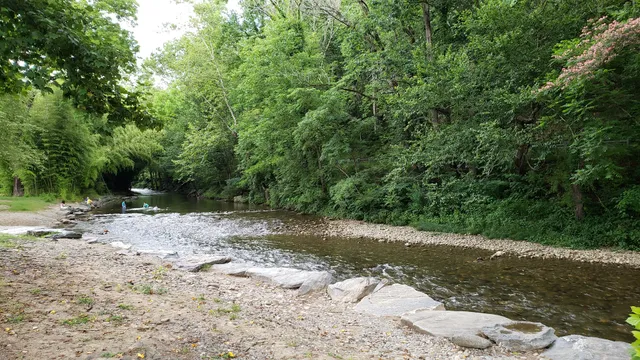 Cherokee Talking Trees Trout Derby