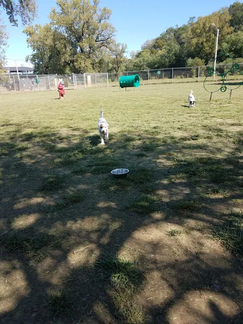 Dempsey Dog Park