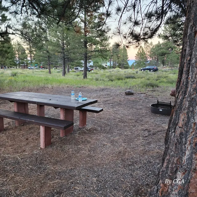 Singletree Campground