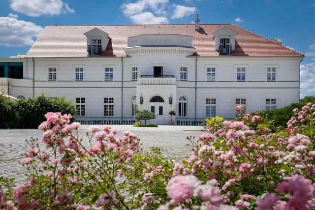 Palace on Opieszynie