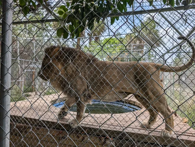 Kowiachobee Animal Preserve