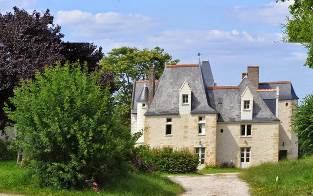Château de la Roche en Loire