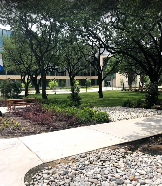 University of Texas Arlington