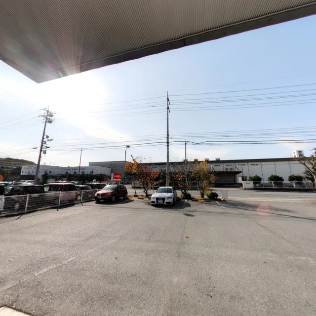 ビーナスベッド