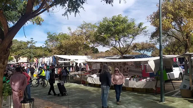 Mercadillo de Barrio de Peral (Lunes)