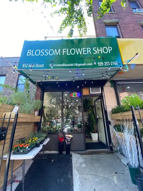 Blossom Flower Shop